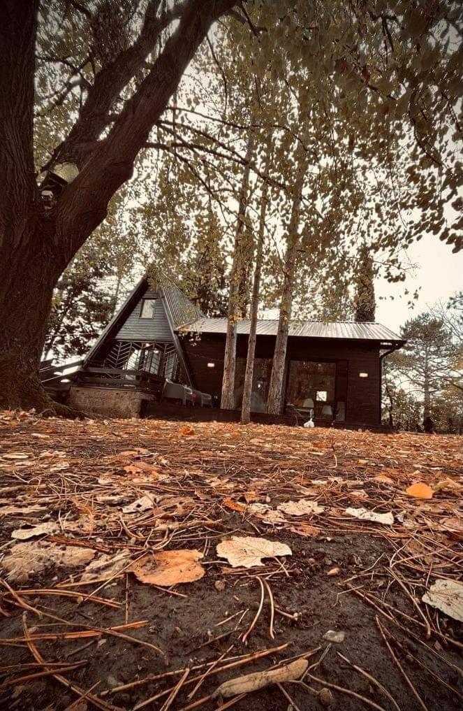 Kuca Za Odmor Vrdnik Βίλα Εξωτερικό φωτογραφία
